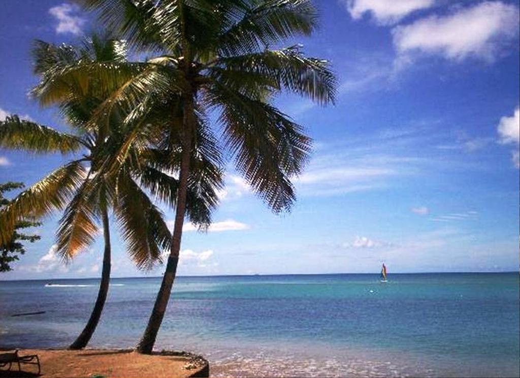 Hotel East Winds St. Lucia Gros Islet Exterior foto