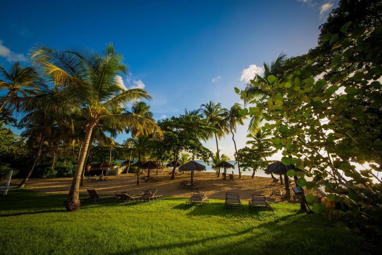 Hotel East Winds St. Lucia Gros Islet Exterior foto